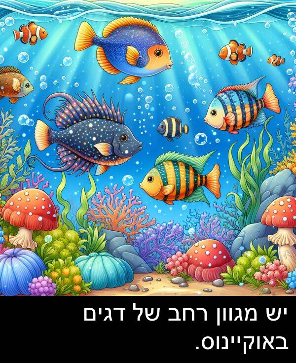 באוקיינוס: יש מגוון רחב של דגים באוקיינוס.
