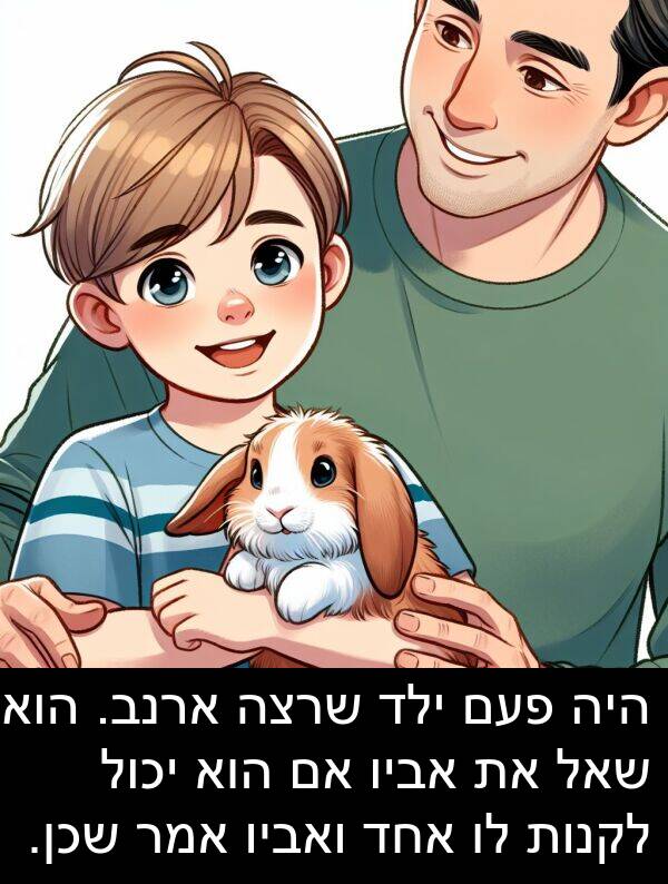 פעם: היה פעם ילד שרצה ארנב. הוא שאל את אביו אם הוא יכול לקנות לו אחד ואביו אמר שכן.