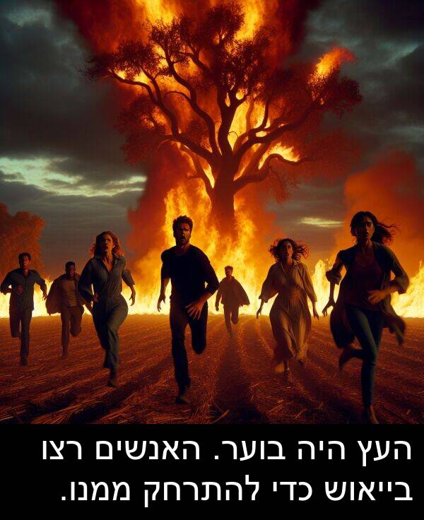 בוער: העץ היה בוער. האנשים רצו בייאוש כדי להתרחק ממנו.
