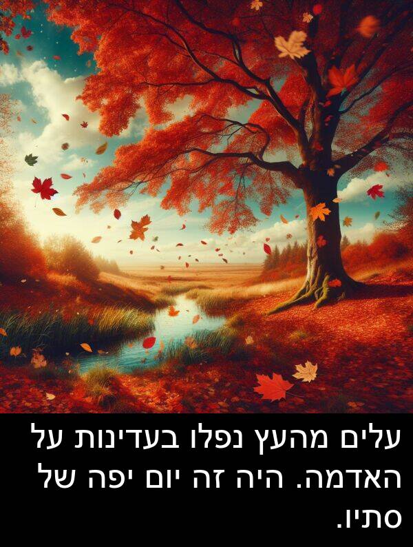 סתיו: עלים מהעץ נפלו בעדינות על האדמה. היה זה יום יפה של סתיו.