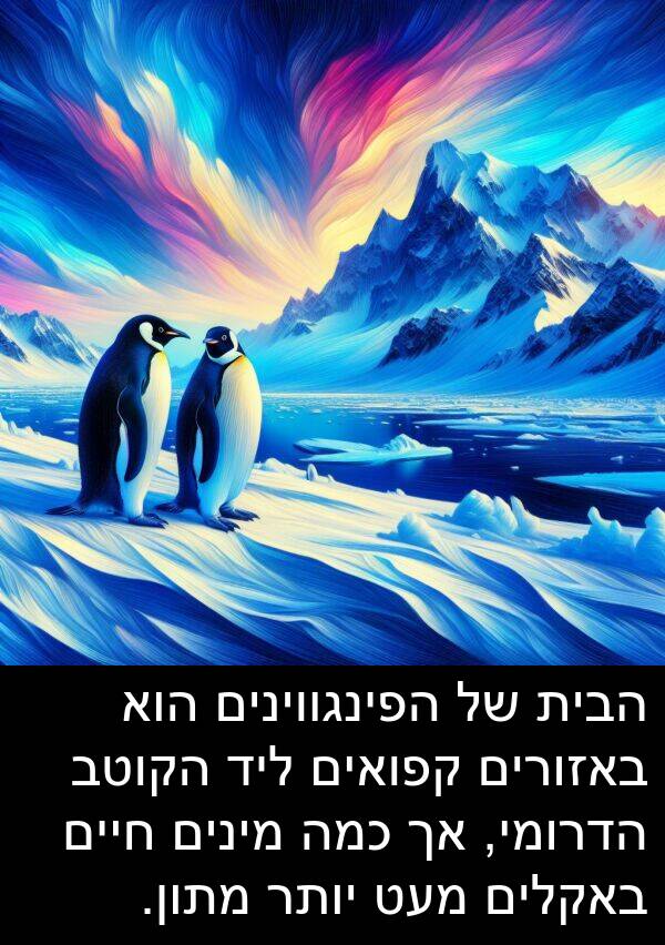 באזורים: הבית של הפינגווינים הוא באזורים קפואים ליד הקוטב הדרומי, אך כמה מינים חיים באקלים מעט יותר מתון.