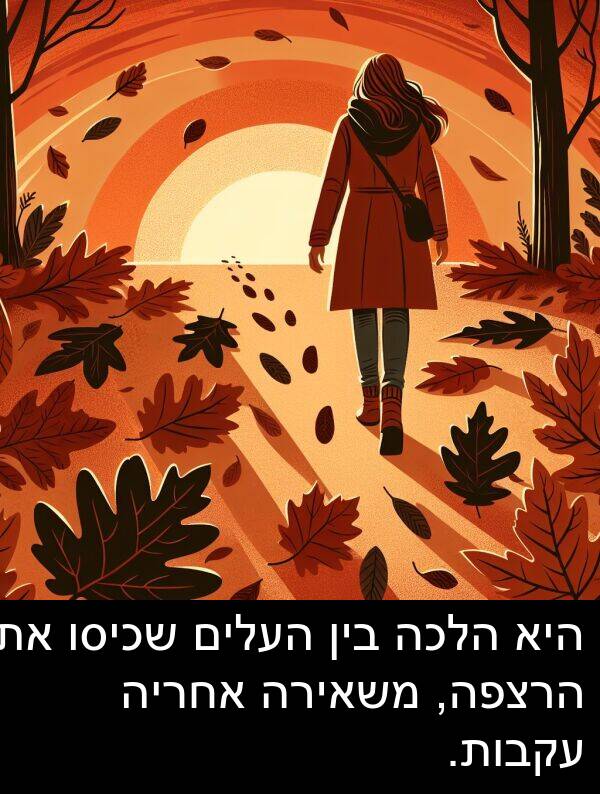 עקבות: היא הלכה בין העלים שכיסו את הרצפה, משאירה אחריה עקבות.