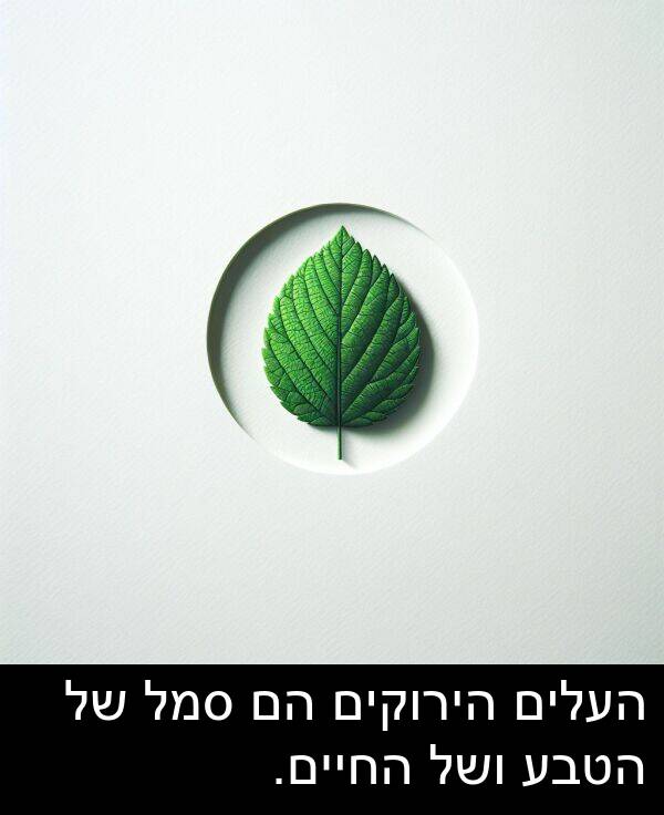 סמל: העלים הירוקים הם סמל של הטבע ושל החיים.