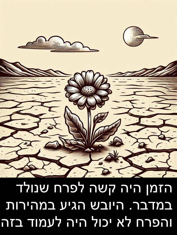 קשה: הזמן היה קשה לפרח שנולד במדבר. היובש הגיע במהירות והפרח לא יכול היה לעמוד בזה.