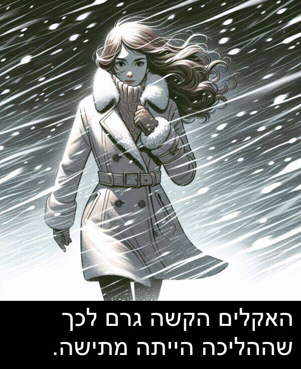 גרם: האקלים הקשה גרם לכך שההליכה הייתה מתישה.