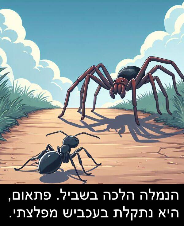 פתאום: הנמלה הלכה בשביל. פתאום, היא נתקלת בעכביש מפלצתי.
