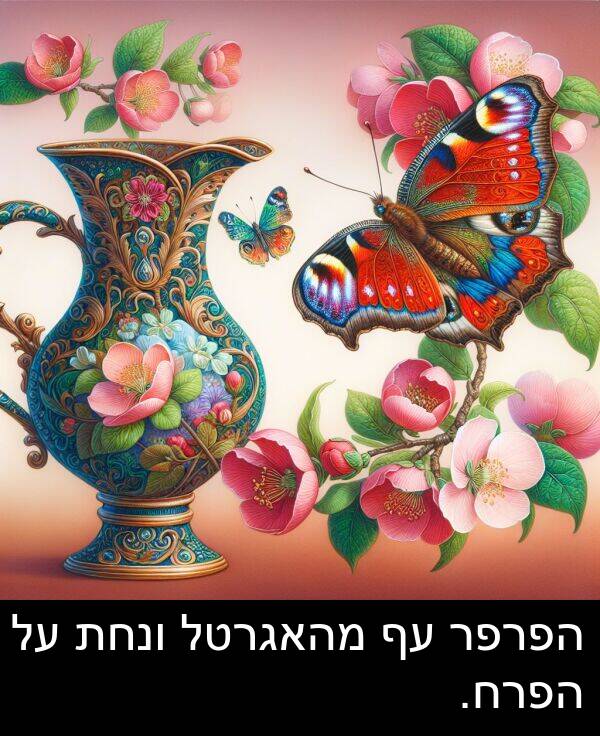 מהאגרטל: הפרפר עף מהאגרטל ונחת על הפרח.