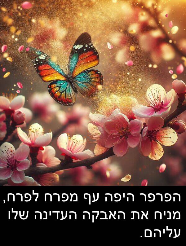 עליהם: הפרפר היפה עף מפרח לפרח, מניח את האבקה העדינה שלו עליהם.