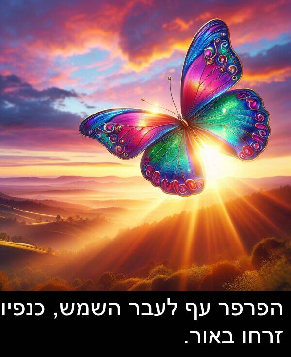 באור: הפרפר עף לעבר השמש, כנפיו זרחו באור.