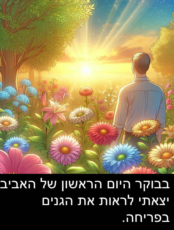 בבוקר: בבוקר היום הראשון של האביב, יצאתי לראות את הגנים בפריחה.