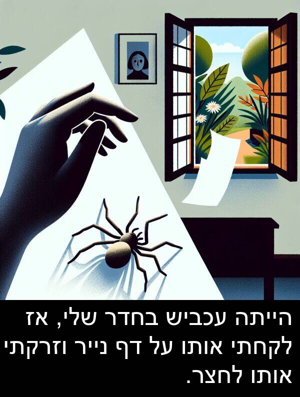 עכביש: הייתה עכביש בחדר שלי, אז לקחתי אותו על דף נייר וזרקתי אותו לחצר.