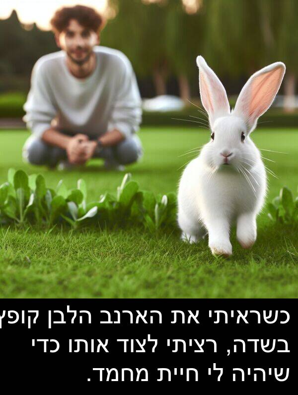 קופץ: כשראיתי את הארנב הלבן קופץ בשדה, רציתי לצוד אותו כדי שיהיה לי חיית מחמד.