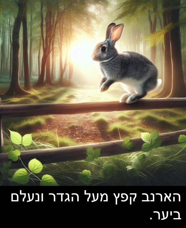 קפץ: הארנב קפץ מעל הגדר ונעלם ביער.