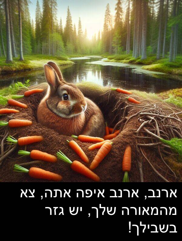 איפה: ארנב, ארנב איפה אתה, צא מהמאורה שלך, יש גזר בשבילך!