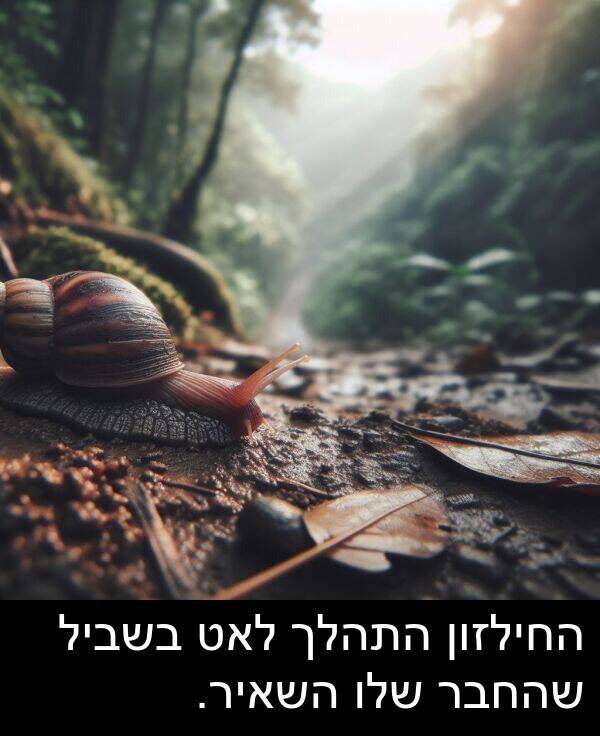 שהחבר: החילזון התהלך לאט בשביל שהחבר שלו השאיר.