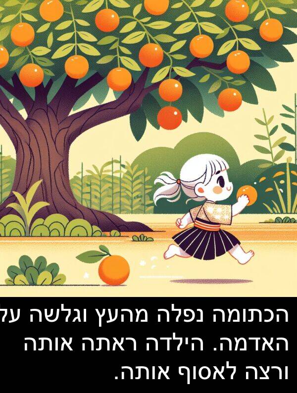 נפלה: הכתומה נפלה מהעץ וגלשה על האדמה. הילדה ראתה אותה ורצה לאסוף אותה.