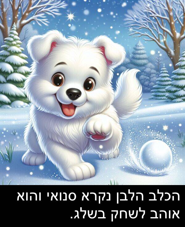 סנואי: הכלב הלבן נקרא סנואי והוא אוהב לשחק בשלג.