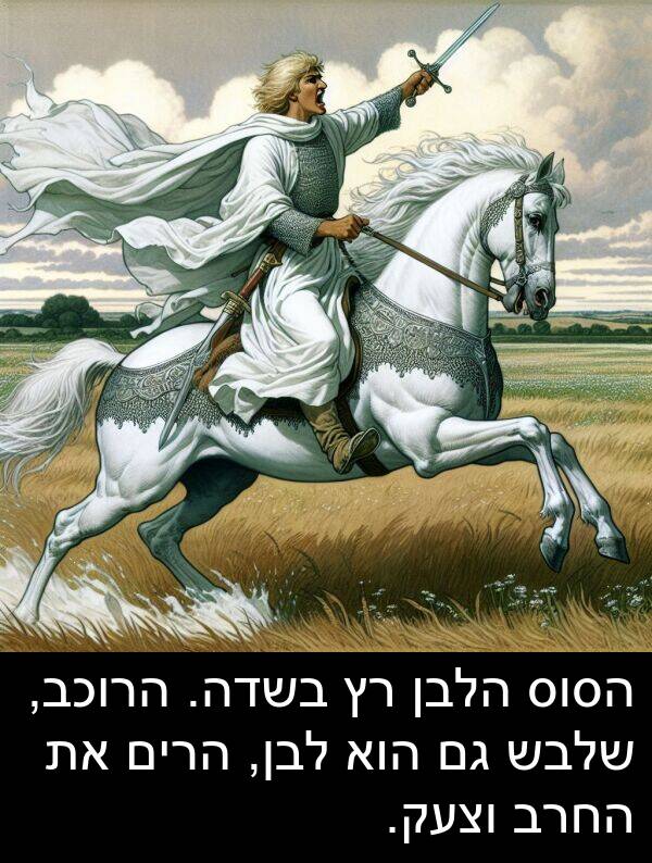 וצעק: הסוס הלבן רץ בשדה. הרוכב, שלבש גם הוא לבן, הרים את החרב וצעק.