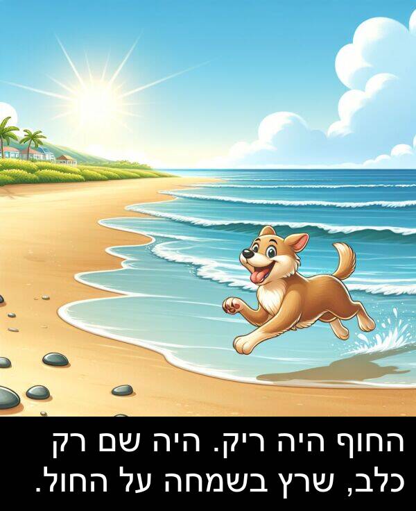 ריק: החוף היה ריק. היה שם רק כלב, שרץ בשמחה על החול.