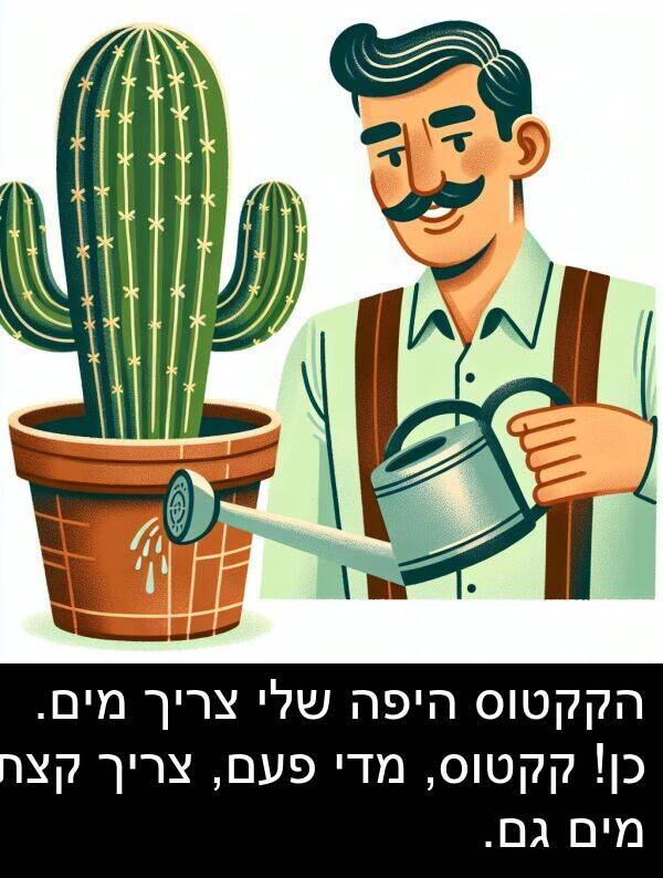מדי: הקקטוס היפה שלי צריך מים. כן! קקטוס, מדי פעם, צריך קצת מים גם.