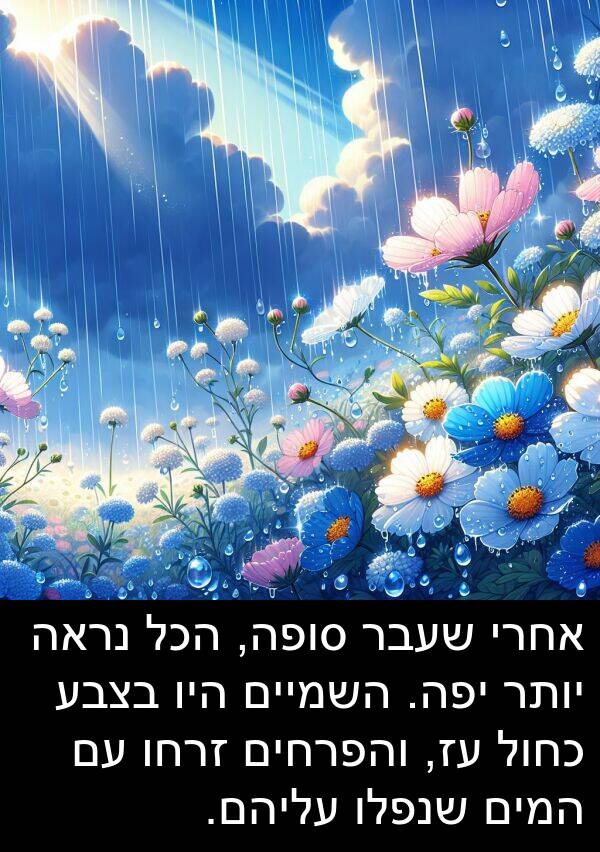 עליהם: אחרי שעבר סופה, הכל נראה יותר יפה. השמיים היו בצבע כחול עז, והפרחים זרחו עם המים שנפלו עליהם.