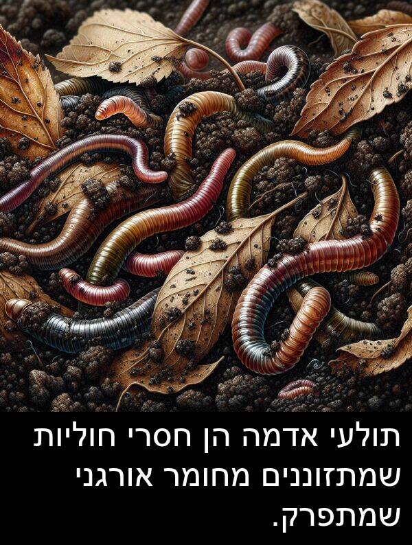 אורגני: תולעי אדמה הן חסרי חוליות שמתזוננים מחומר אורגני שמתפרק.