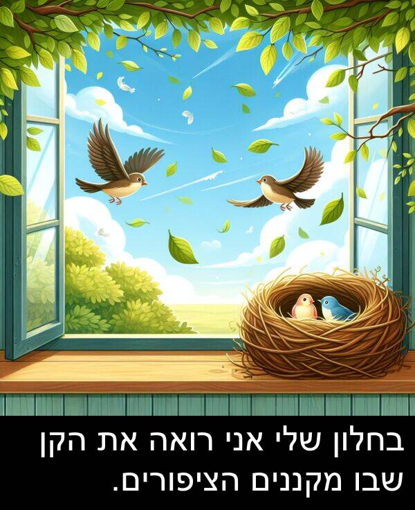 שבו: בחלון שלי אני רואה את הקן שבו מקננים הציפורים.