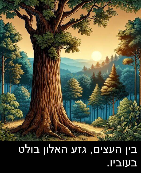 בעוביו: בין העצים, גזע האלון בולט בעוביו.