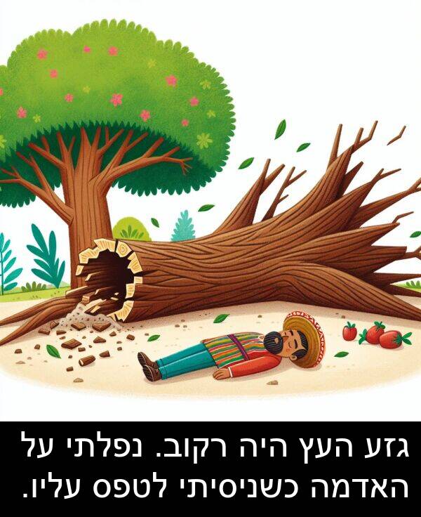 עליו: גזע העץ היה רקוב. נפלתי על האדמה כשניסיתי לטפס עליו.