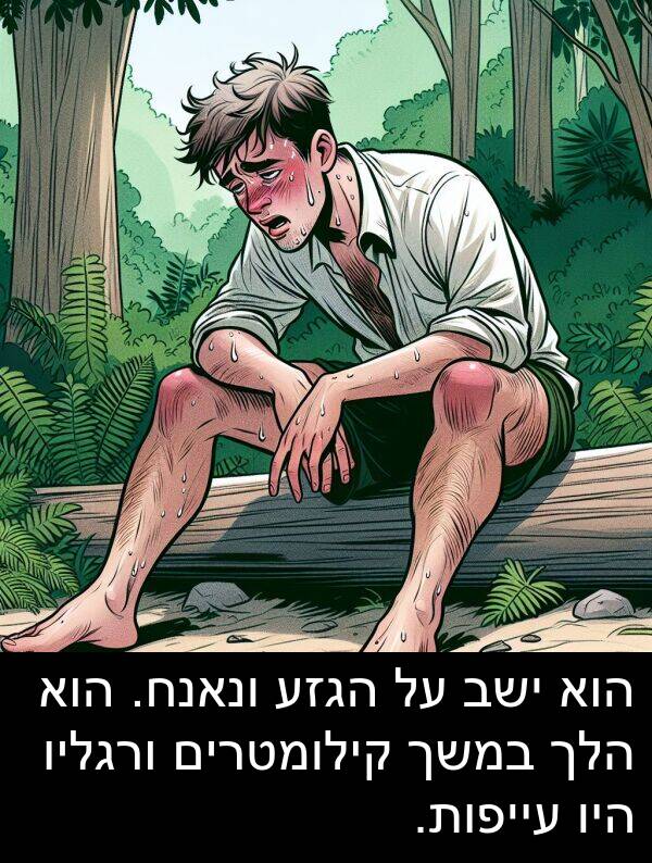 עייפות: הוא ישב על הגזע ונאנח. הוא הלך במשך קילומטרים ורגליו היו עייפות.