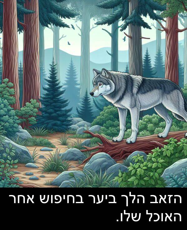 אחר: הזאב הלך ביער בחיפוש אחר האוכל שלו.