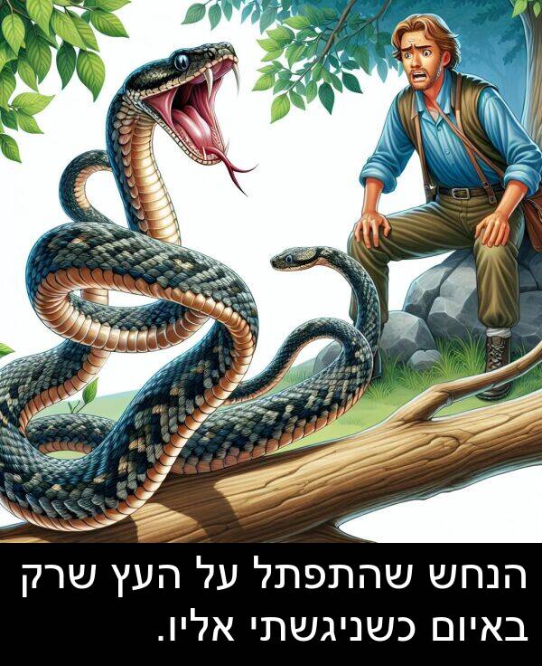 באיום: הנחש שהתפתל על העץ שרק באיום כשניגשתי אליו.