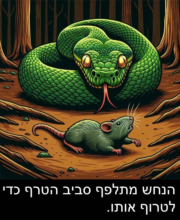 אותו: הנחש מתלפף סביב הטרף כדי לטרוף אותו.