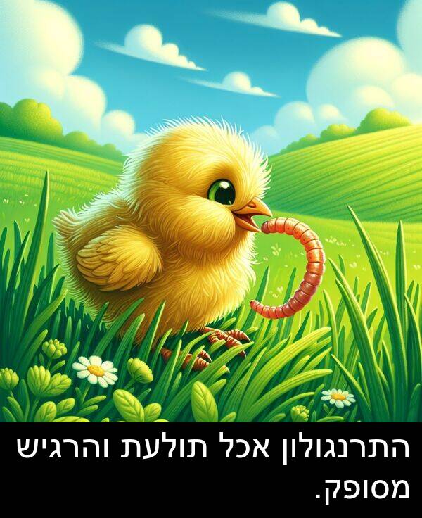 תולעת: התרנגולון אכל תולעת והרגיש מסופק.