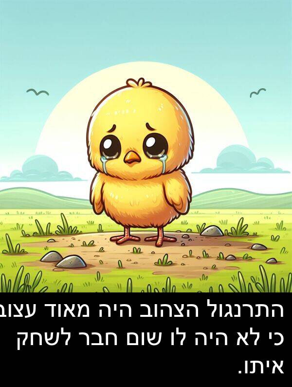 איתו: התרנגול הצהוב היה מאוד עצוב כי לא היה לו שום חבר לשחק איתו.