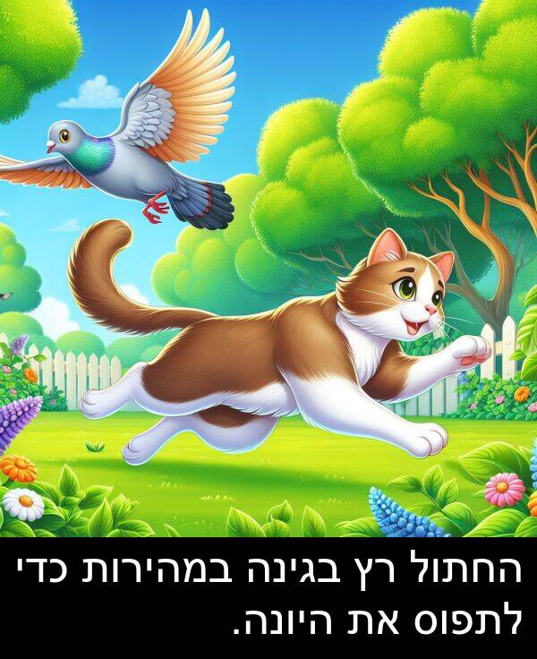 בגינה: החתול רץ בגינה במהירות כדי לתפוס את היונה.