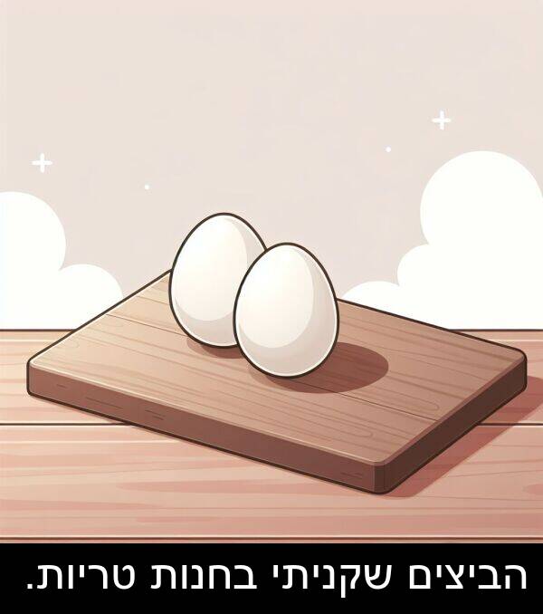 טריות: הביצים שקניתי בחנות טריות.