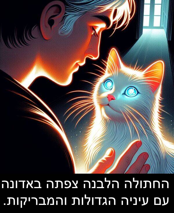 באדונה: החתולה הלבנה צפתה באדונה עם עיניה הגדולות והמבריקות.