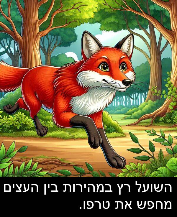 השועל: השועל רץ במהירות בין העצים מחפש את טרפו.