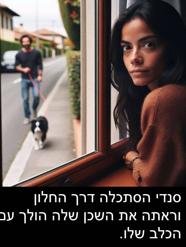 דרך: סנדי הסתכלה דרך החלון וראתה את השכן שלה הולך עם הכלב שלו.