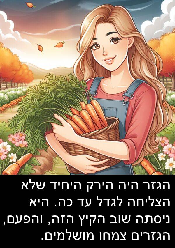 צמחו: הגזר היה הירק היחיד שלא הצליחה לגדל עד כה. היא ניסתה שוב הקיץ הזה, והפעם, הגזרים צמחו מושלמים.