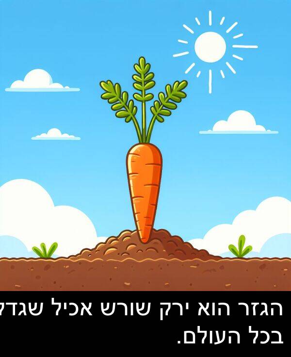 אכיל: הגזר הוא ירק שורש אכיל שגדל בכל העולם.