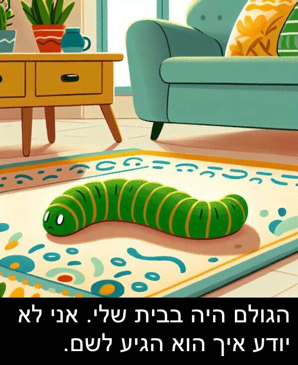 בבית: הגולם היה בבית שלי. אני לא יודע איך הוא הגיע לשם.