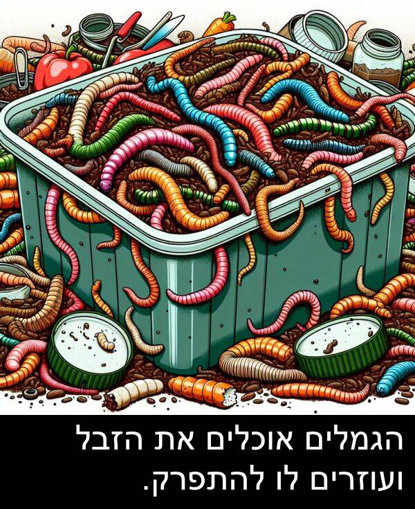 אוכלים: הגמלים אוכלים את הזבל ועוזרים לו להתפרק.