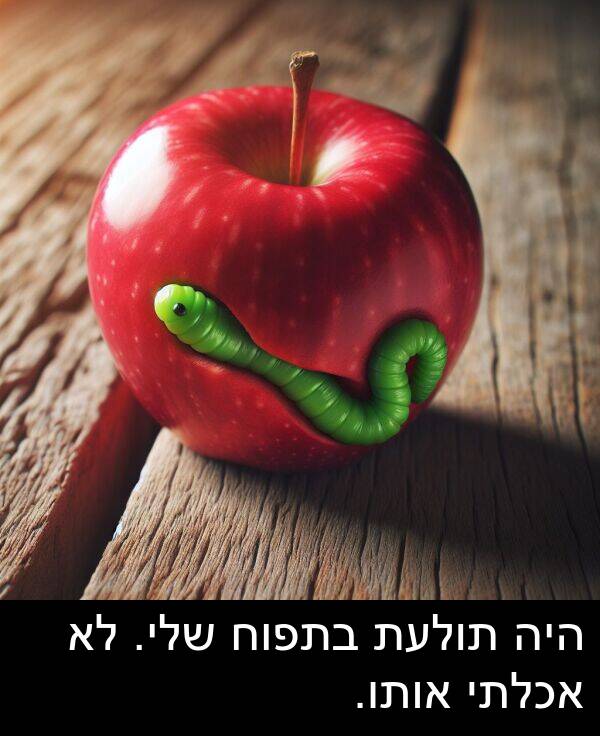 אותו: היה תולעת בתפוח שלי. לא אכלתי אותו.