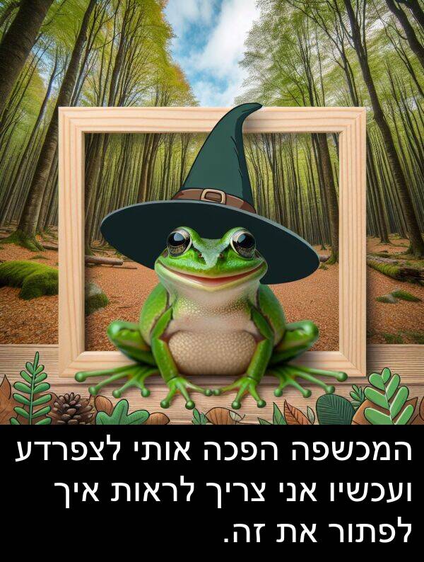 זה: המכשפה הפכה אותי לצפרדע ועכשיו אני צריך לראות איך לפתור את זה.