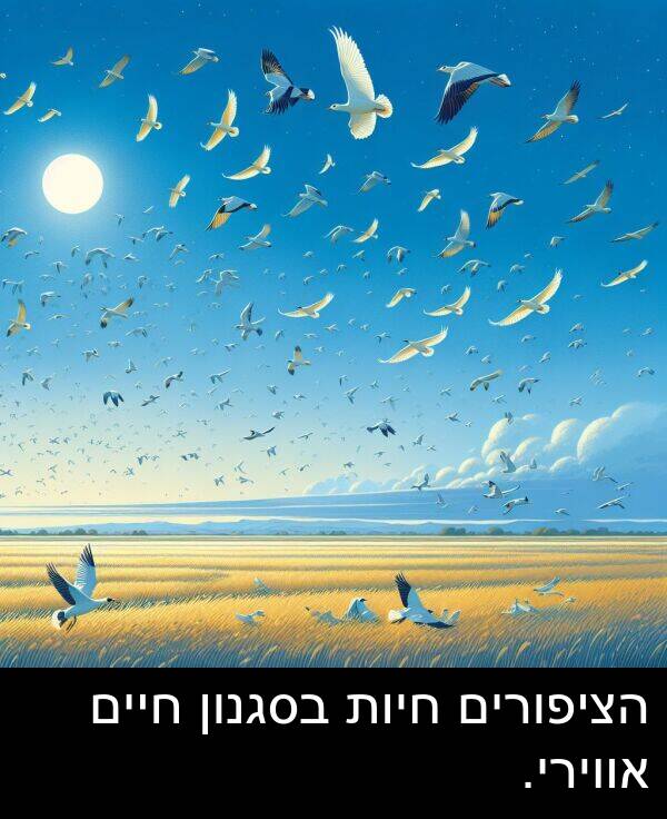 אווירי: הציפורים חיות בסגנון חיים אווירי.