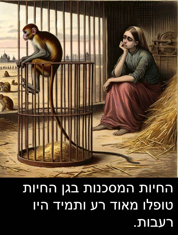 טופלו: החיות המסכנות בגן החיות טופלו מאוד רע ותמיד היו רעבות.