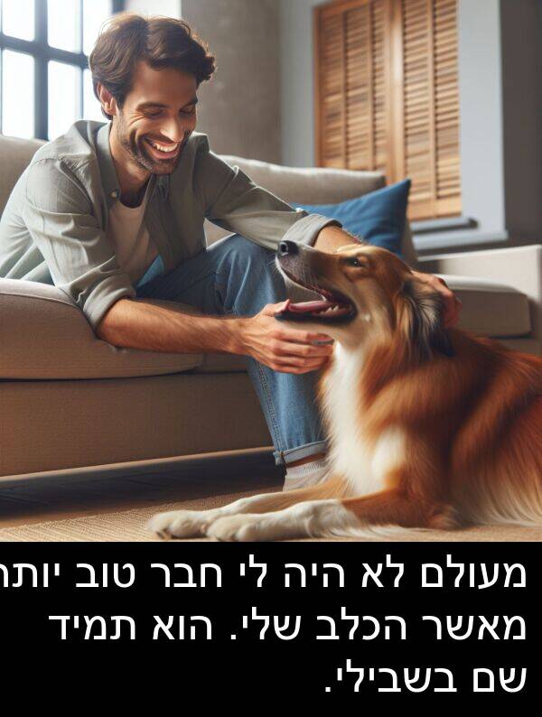 חבר: מעולם לא היה לי חבר טוב יותר מאשר הכלב שלי. הוא תמיד שם בשבילי.