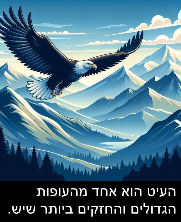 העיט: העיט הוא אחד מהעופות הגדולים והחזקים ביותר שיש.
